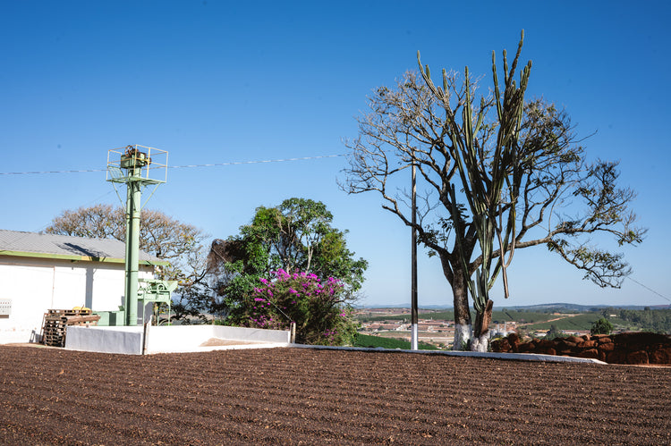 Brazil Campo Das Vertentes