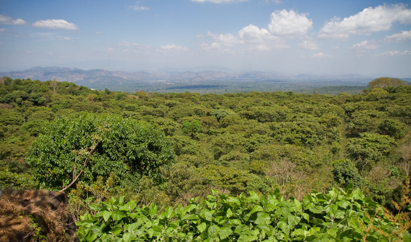 View from El Salvador Malacara B
